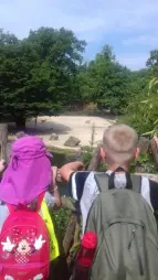 ProjektZoo2018
