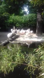 ProjektZoo2018