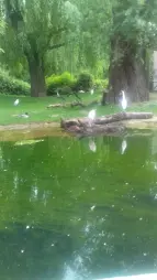 ProjektZoo2018
