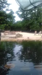 ProjektZoo2018