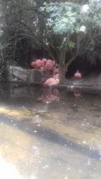 ProjektZoo2018