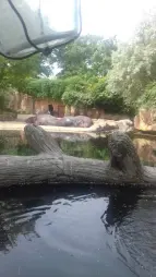 ProjektZoo2018