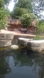 ProjektZoo2018