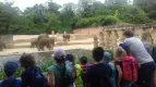 ProjektZoo2018