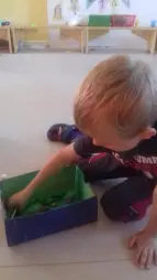 ProjektZoo2018
