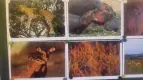 ProjektZoo2018