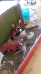 ProjektZoo2018