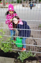 Pflanzaktion im Frühling 2019