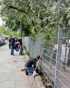 Pflanzaktion im Frühling 2019